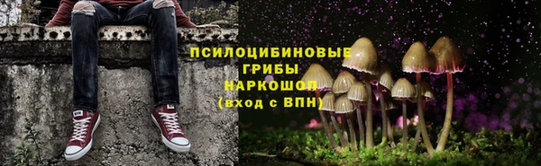 бошки Абаза
