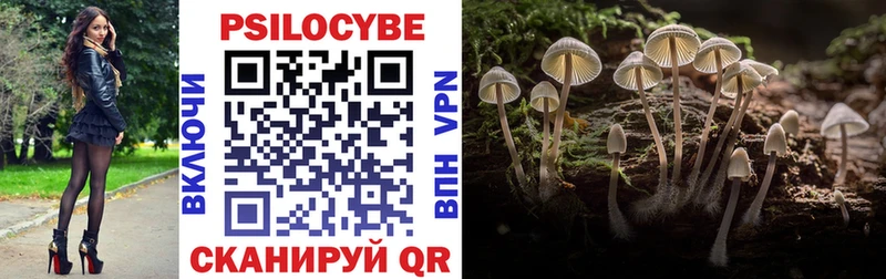 Псилоцибиновые грибы прущие грибы  Ужур 